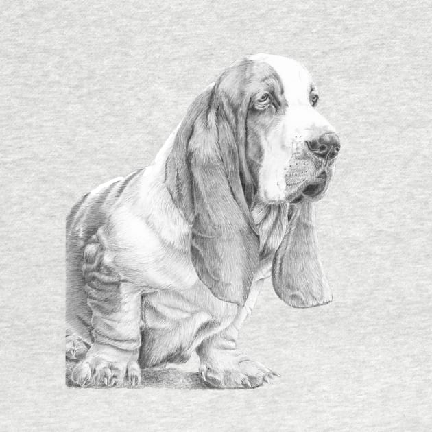Basset hound by doggyshop